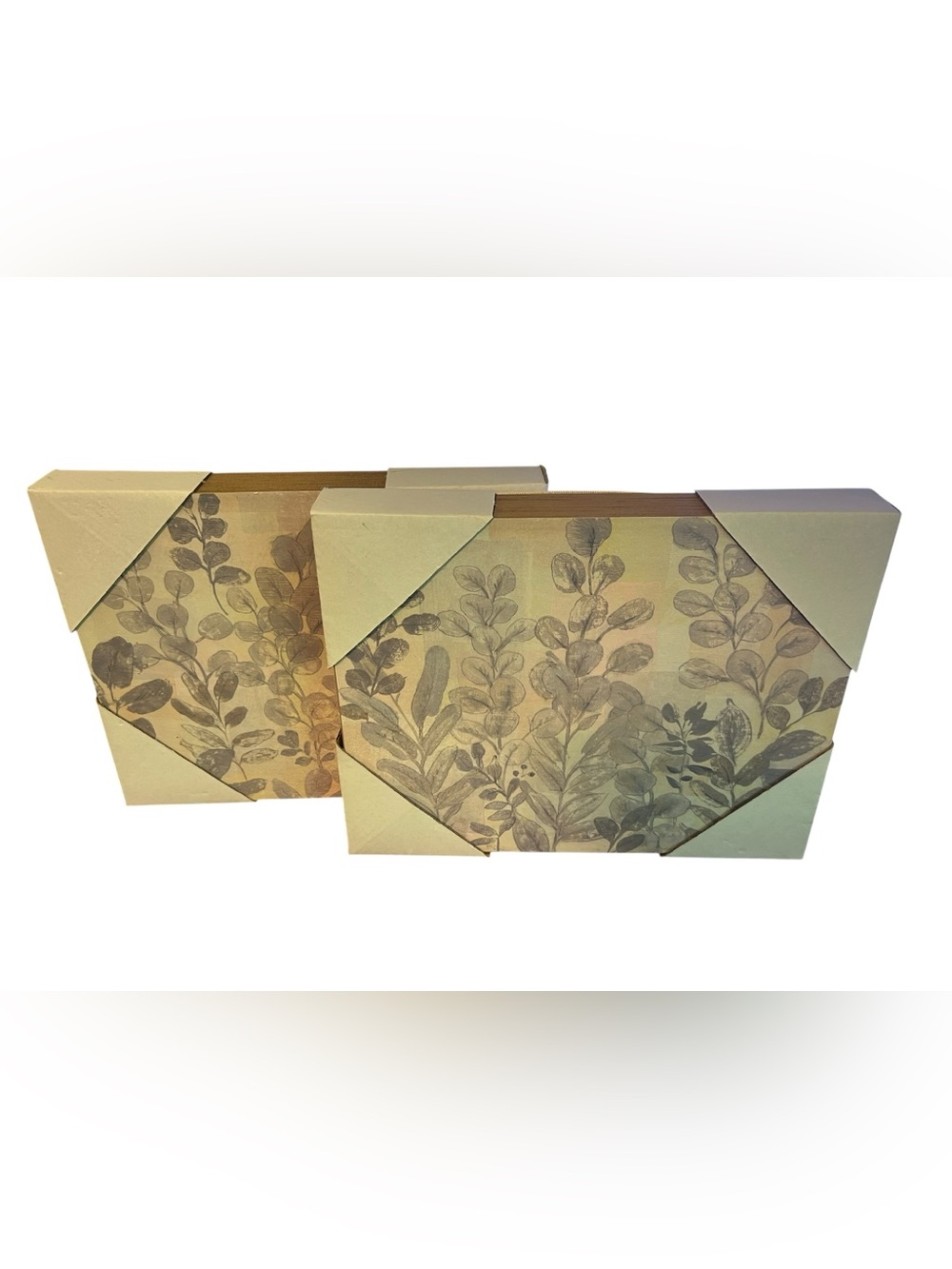 Leaf Botanical Canvas Wall Art Set of 2